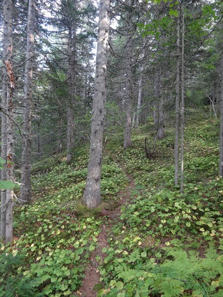 Охотское Море 401